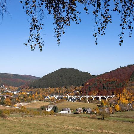Ferienwohnung Zur Schoenen Aussicht-Rueters Parkhotel Willingen  Exteriér fotografie